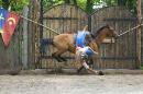 Zaporizhzhia. Horse theater  grab hat and do not fall, Zaporizhzhia Region, Cities 