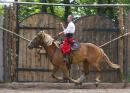 Zaporizhzhia. Horse theatre  swift sword, Zaporizhzhia Region, Cities 