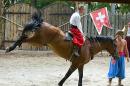 Zaporizhzhia. Horse theatre  by forelegs, Zaporizhzhia Region, Cities 