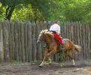 Zaporizhzhia. Horse theatre  backwards, Zaporizhzhia Region, Cities 