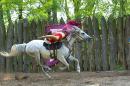 Zaporizhzhia. Horse theatre  hung on horse's neck, Zaporizhzhia Region, Cities 