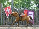 Zaporizhzhia. Horse theatre  Cossack pirouette, Zaporizhzhia Region, Cities 