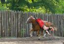 Zaporizhzhia. Horse theatre  cap would not lose, Zaporizhzhia Region, Cities 