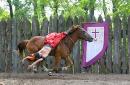 Zaporizhzhia. Horse theatre  dangerous fancy riding, Zaporizhzhia Region, Cities 