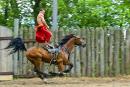 Zaporizhzhia. Horse theatre  tension forces, Zaporizhzhia Region, Cities 