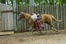 Zaporizhzhia. Horse theatre  jump on bandwagon, Zaporizhzhia Region, Cities 