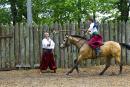 Zaporizhzhia. Horse theatre – why cap perforate, Zaporizhzhia Region, Cities 