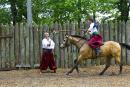 Zaporizhzhia. Horse theatre  why cap perforate, Zaporizhzhia Region, Cities 