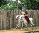 Zaporizhzhia. Horse theatre  carefully keeping his head down, Zaporizhzhia Region, Cities 