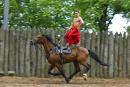 Zaporizhzhia. Horse theatre  most powerful actor, Zaporizhzhia Region, Cities 