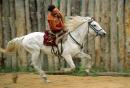 Zaporizhzhia. Horse theatre  as in puppet show, Zaporizhzhia Region, Cities 