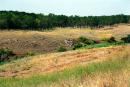 Kalaytanivka. Upper reaches of ravine on side of river valley, Zaporizhzhia Region, Geological sightseeing 