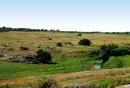 Kalaytanivka. Upper reaches of river Berda, Zaporizhzhia Region, Rivers 