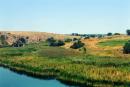 Radyvonivka. Rushy bank of river Berda, Zaporizhzhia Region, Rivers 