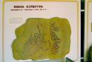 Terpinnia. Museum's reconstruction of petroglyphs, Zaporizhzhia Region, Museums 