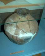 Terpinnia. Jar in museum reserve, Zaporizhzhia Region, Museums 