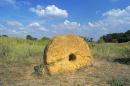 Terpinnia. Like stuck wheel, Zaporizhzhia Region, Museums 