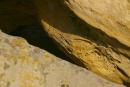 Terpinnia. Prints mollusks in block of sandstone, Zaporizhzhia Region, Geological sightseeing 