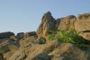 Terpinnia. Collapsed block of sandstone, Zaporizhzhia Region, Geological sightseeing 