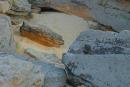 Terpinnia. Piece of sandstone on sea sand, Zaporizhzhia Region, Geological sightseeing 