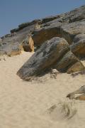 Terpinnia. Burrowing in sea sand, Zaporizhzhia Region, Geological sightseeing 