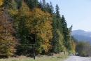 Vorokhta. The beginning of a golden autumn in the Carpathian region, Ivano-Frankivsk Region, Roads 