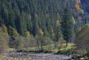 Vorokhta. The rocky course of the upper Prut, Ivano-Frankivsk Region, Rivers 