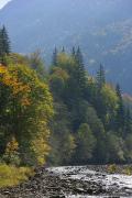 Vorokhta. Sportive bed of the Prut River, Ivano-Frankivsk Region, Rivers 