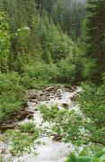 Sportive headwaters of the Prut River at the foot of Mount Hoverla, Ivano-Frankivsk Region, Rivers 