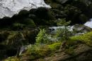 Carpathian NNP. Mountain stream and creeping snow, Ivano-Frankivsk Region, National Natural Parks 