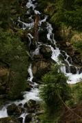 Carpathian NNP. The stream cutting through the hillside, Ivano-Frankivsk Region, National Natural Parks 