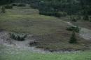 Carpathian NNP. Treeless mountainside, Ivano-Frankivsk Region, National Natural Parks 