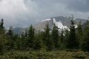 Carpathian NNP. Snow leveling slopes, Ivano-Frankivsk Region, National Natural Parks 