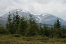 Carpathian NNP. Spring melting of mountain snow, Ivano-Frankivsk Region, National Natural Parks 