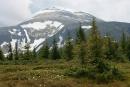 Carpathian NNP. Yelnik on the background of a thawing top, Ivano-Frankivsk Region, National Natural Parks 