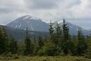 Carpathian NNP. Deciduous forest could not compete, Ivano-Frankivsk Region, National Natural Parks 