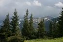 Carpathian NNP. Affected by the local wind rose, Ivano-Frankivsk Region, National Natural Parks 