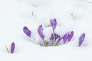 Carpathian NNP. Interseasonal palette, Ivano-Frankivsk Region, National Natural Parks 