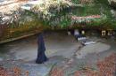 Maniavsky monastery. Abbot of the monastery and the Blessed Stone, Ivano-Frankivsk Region, Monasteries 