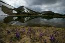 Chornohora. Lake Nesamovitoe on the slope of Mount Turkul, Ivano-Frankivsk Region, National Natural Parks 