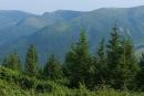 Pre-Carpathians. Amazing green extravaganza, Ivano-Frankivsk Region, National Natural Parks 