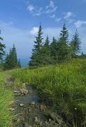 Pre-Carpathians. So begin mountain streams and rivers., Ivano-Frankivsk Region, National Natural Parks 