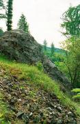 Pistyn. Scattered gray limestones of the Stryi Formation, Ivano-Frankivsk Region, Geological sightseeing 