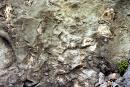 Pistyn. Gray limestones of the Stryi Formation, Ivano-Frankivsk Region, Geological sightseeing 