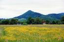 Pistyn. Mount Pistynka, Ivano-Frankivsk Region, Geological sightseeing 