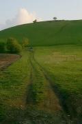 Chortova Hora. The road to the remains of the settlement on the top, Ivano-Frankivsk Region, Roads 