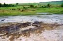 Starunia. Crater of active clay volcano, Ivano-Frankivsk Region, Geological sightseeing 