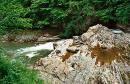 Sheshory. Paleogene flys - the cause of the waterfall, Ivano-Frankivsk Region, Geological sightseeing 