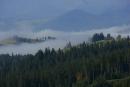 Yablunytskyi pass. Morning Mist in the Mountain Range, Ivano-Frankivsk Region, National Natural Parks 