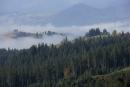 Yablunytskyi pass. Thick fog in the valley of the Mountain Tisza, Ivano-Frankivsk Region, National Natural Parks 